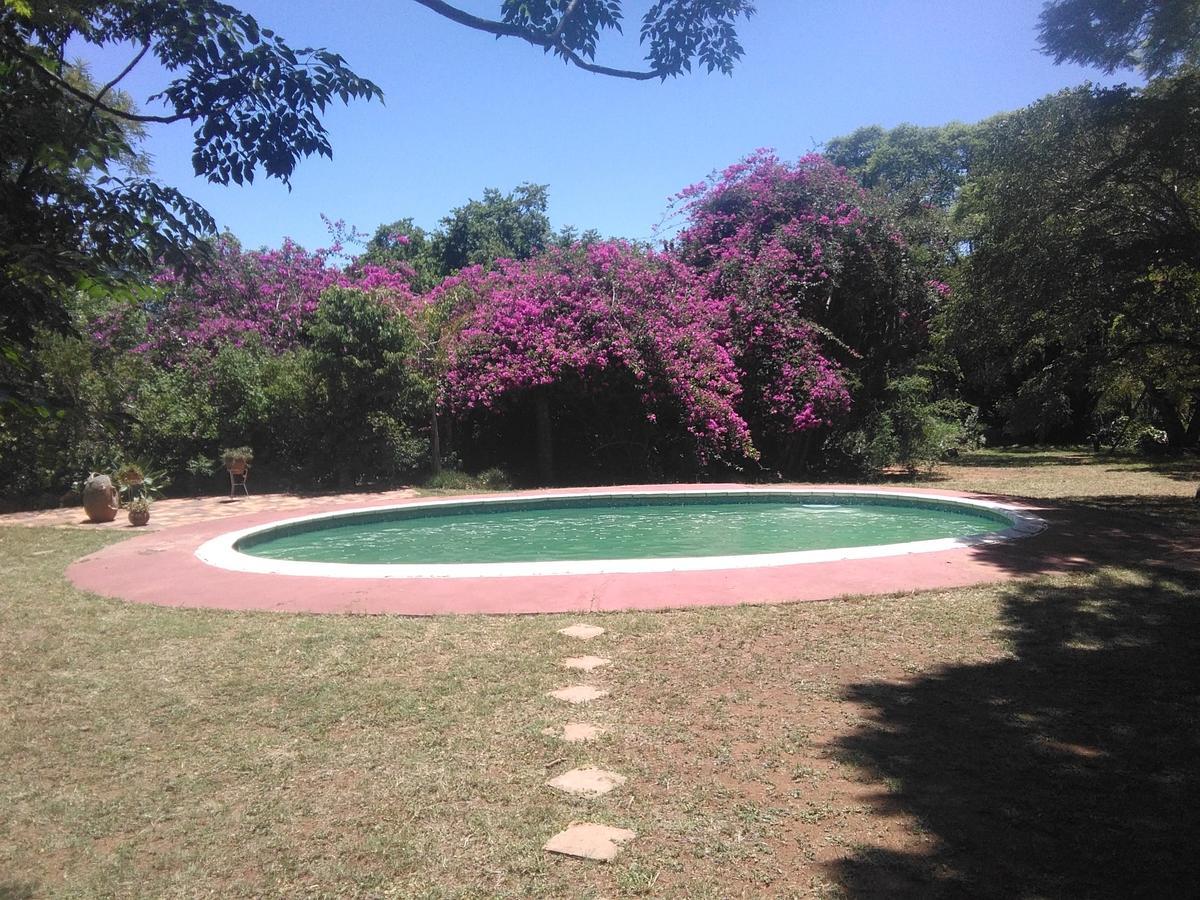 Limerick Cottages Bulawayo Eksteriør bilde
